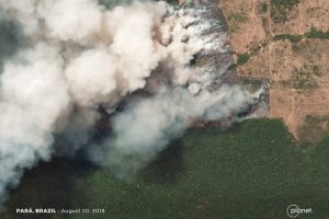 Scopri di più sull'articolo Cosa sta succedendo in Amazzonia? 10 punti spiegati dal Guardian e da un forestale Giorgio Vacchiano.